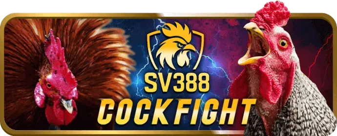 Đội ngũ hỗ trợ khách hàng chuyên nghiệp của 69vn